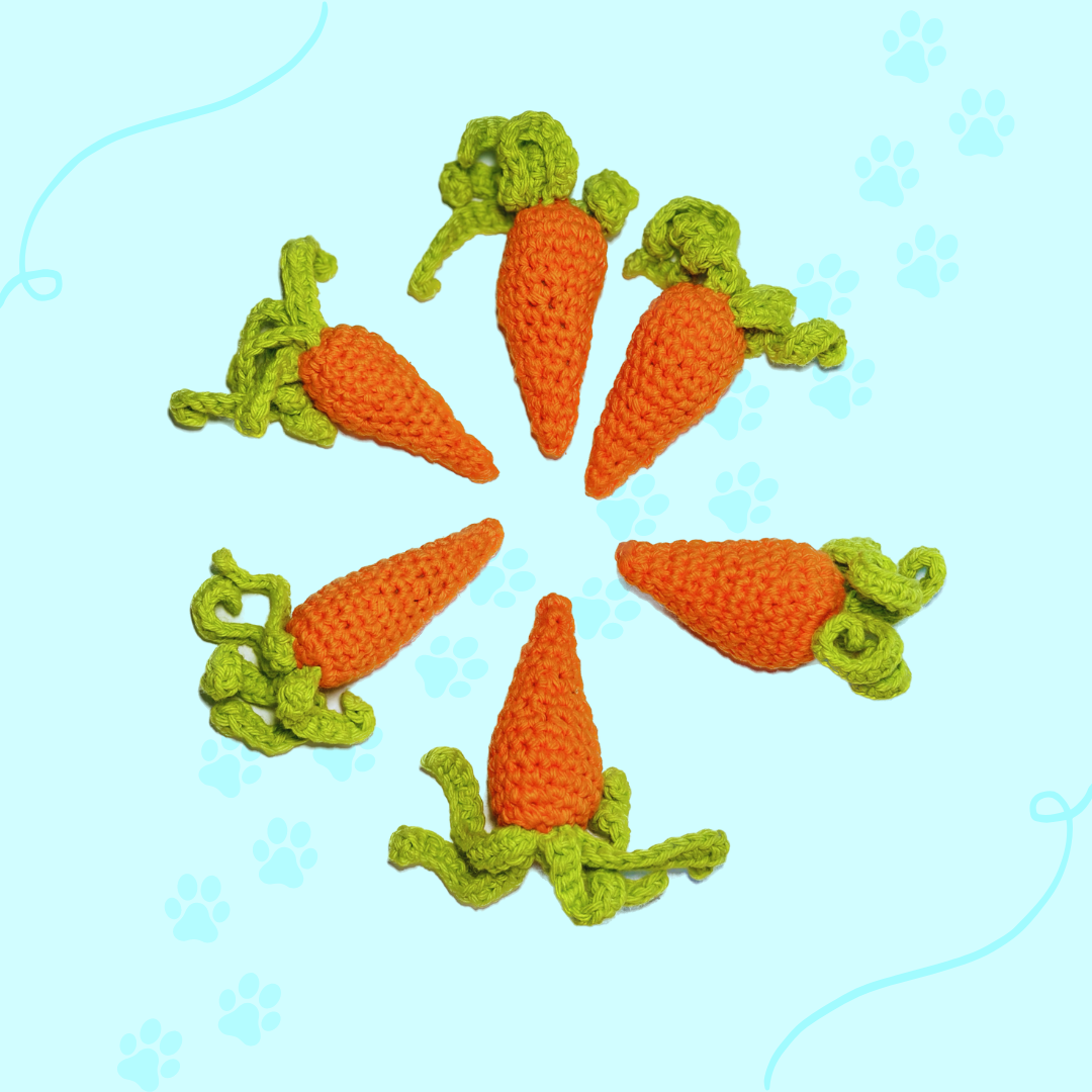 Carrot Catnip Toy