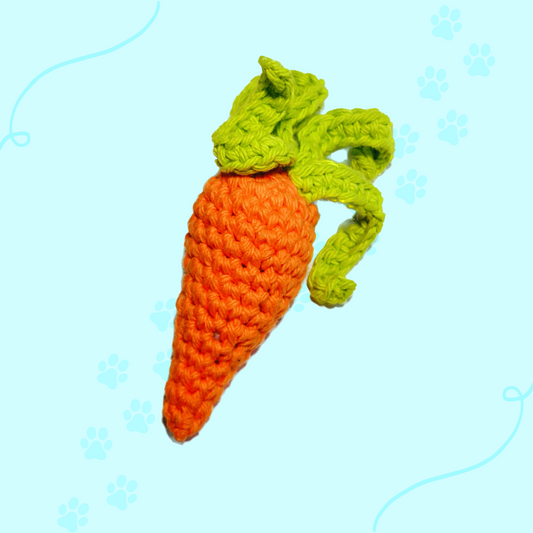 Carrot Catnip Toy